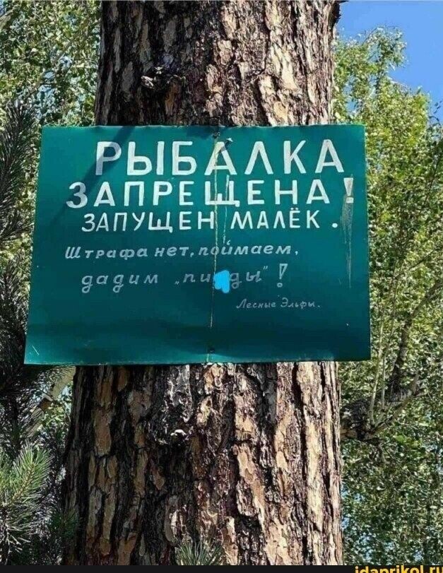 Юмор в картинках и без
