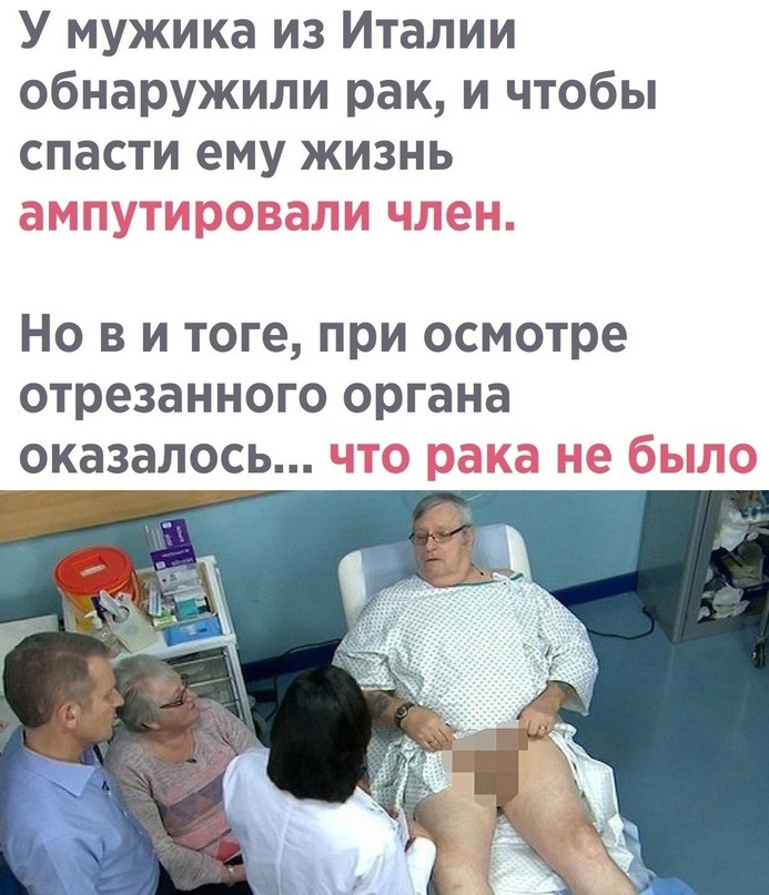 Эрекция — Википедия