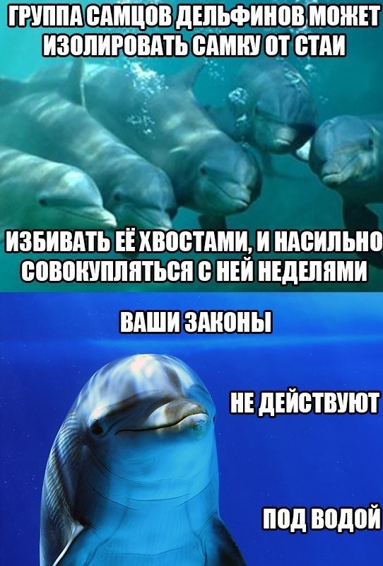 Природа намекает, что зря из воды вылезли