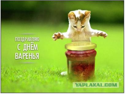 С ДНЕМ РОЖДЕНИЯ, ЯП!