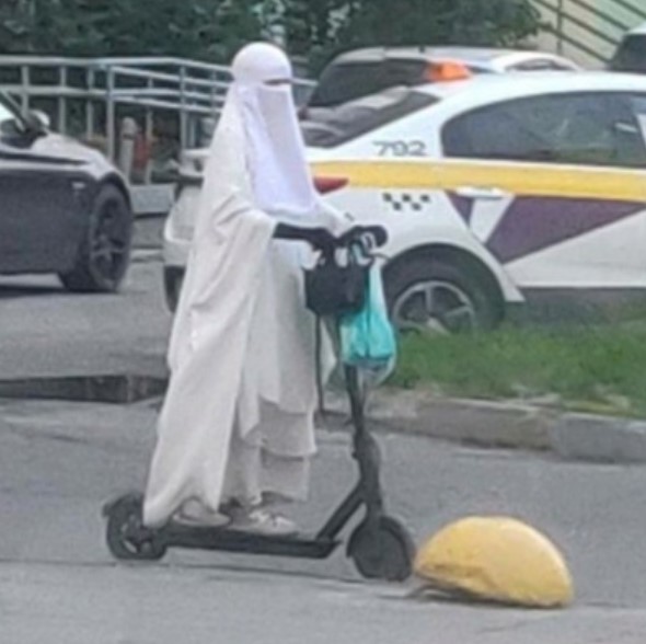 Весёлый полтишок 10.07.24