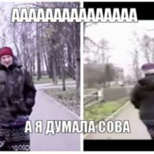 С совой можно поиграть