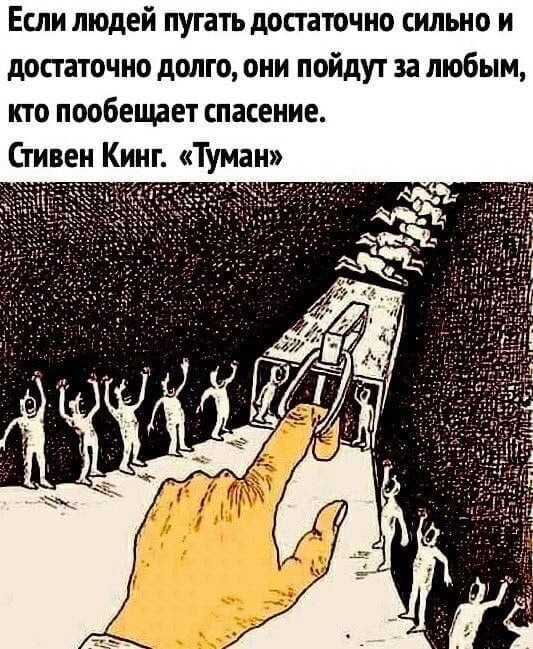 Так себе картинки 21.12.24