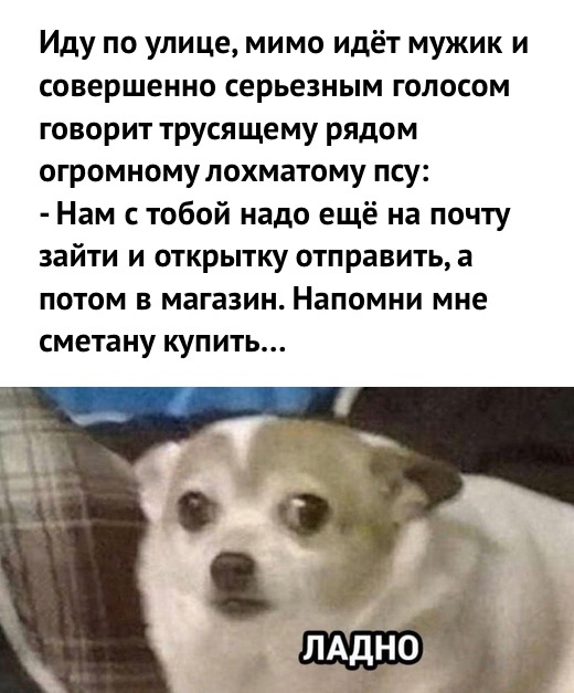 Так себе картинки 02.02.25