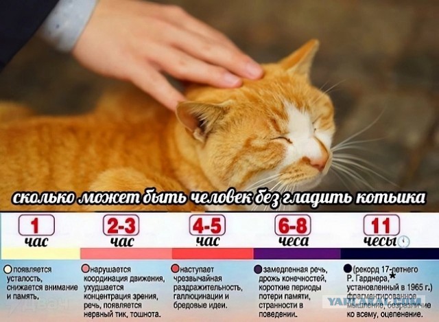 Хотели настоящую Белоснежку?
