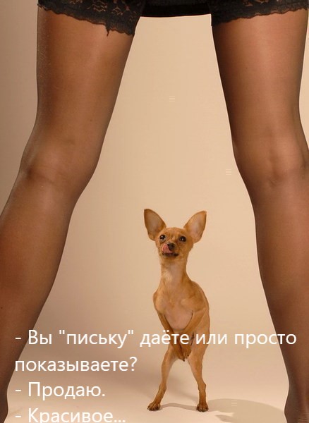 Не очень адекватный юмор
