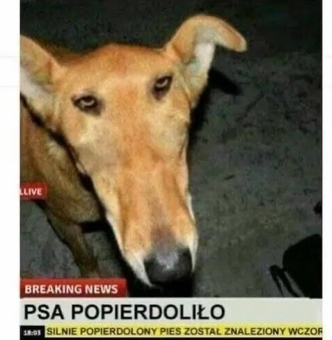 Аэрография
