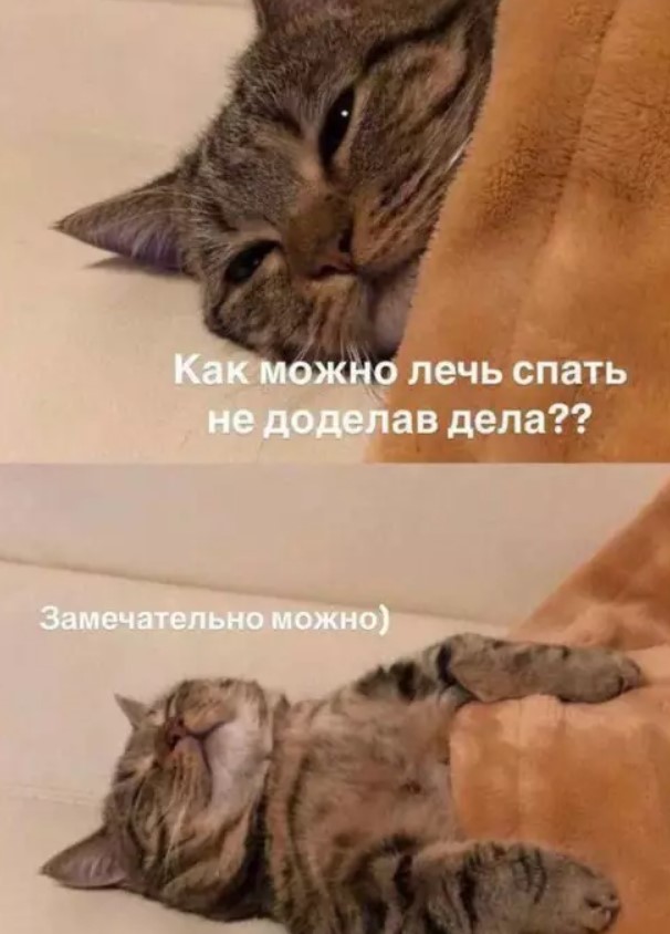 Картиночки, баянчики 21 января