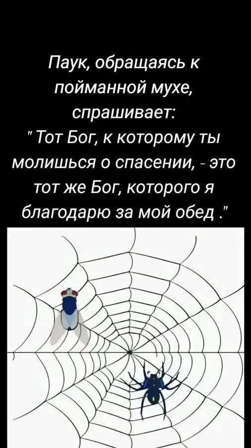 Среды картинки
