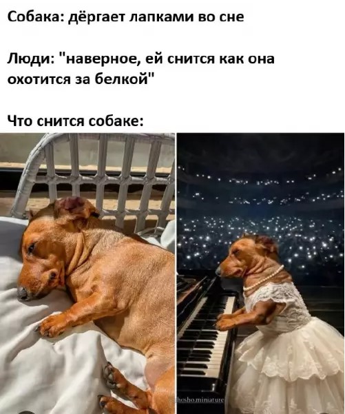 Картиночки, баянчики 22 марта