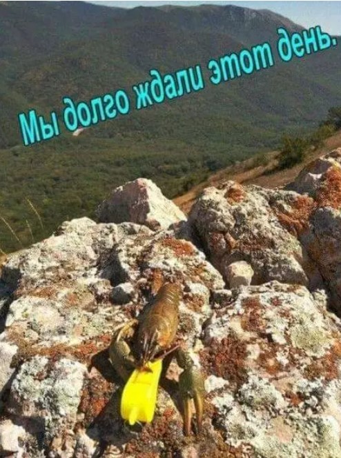 Картиночки, баянчики 24 марта