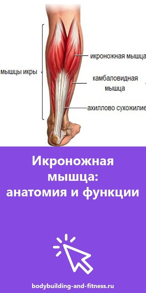 Любитель поесть⁠