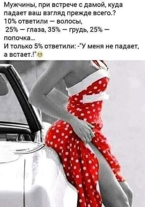 Забавные и не очень скромные картинки-39