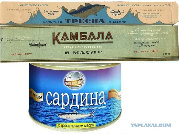 Все что, вы хотели знать о консервах,