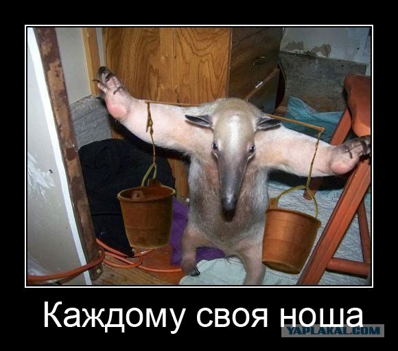 Ноша по плечу