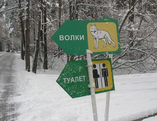 Смешные комментарии из социальных сетей (40 фото)