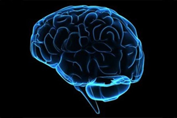 Год одна тысяча девятьсот восьмидесятыый