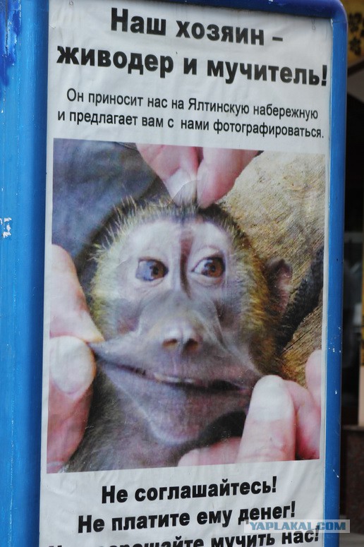 Дорога из Киева и из Москвы в Ялту.