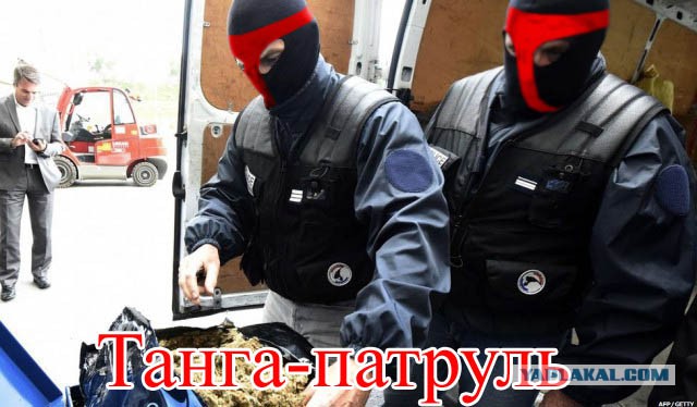 Почему бы не Пожабить?) 18+