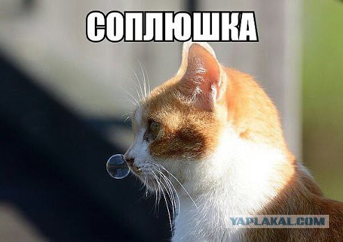 Хватит негатива на сегодня, пятница же!