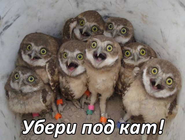 Иранский балет