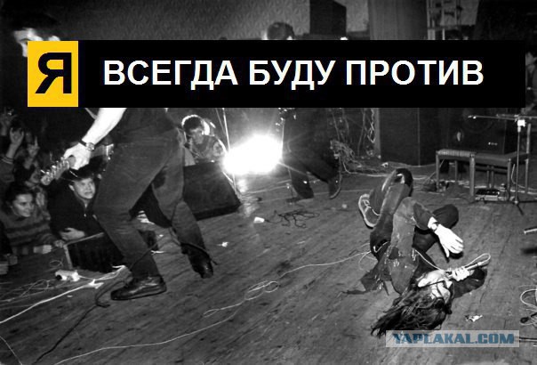 Егор Летов тоже любил котиков!