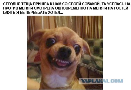 Наркоманский юмор