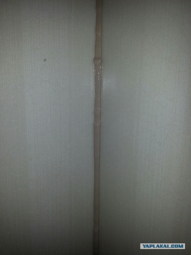 Боремся с плесенью