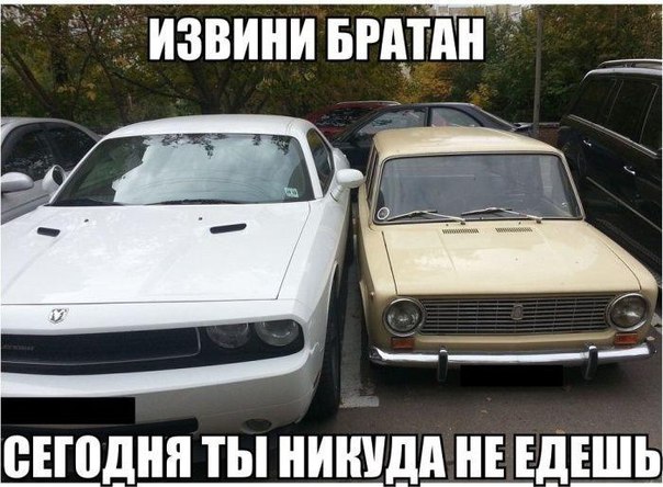 Подборка прикольных картинок