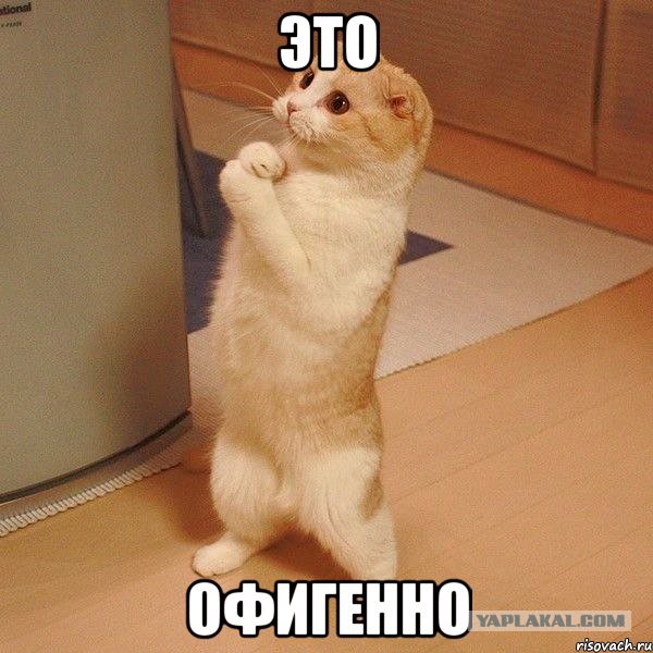 Обидная причина многих разводов