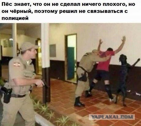 Очередная подборка картинок из сети