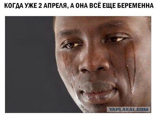 Смешные картинки с надписями 04.04.2016