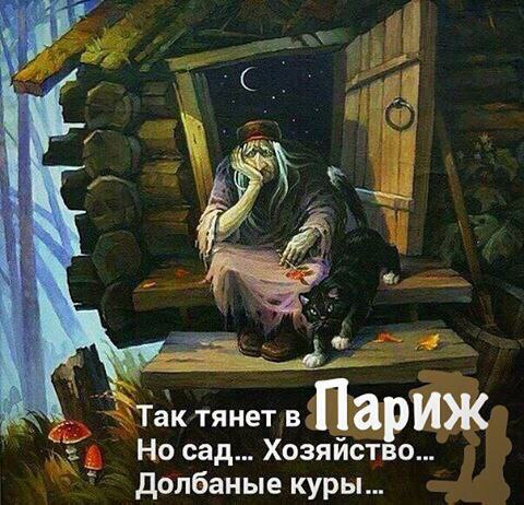 Подборка интересных и веселых картинок