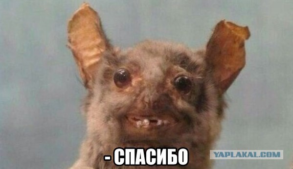 Суровые модники нашего метро