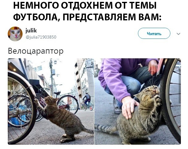 Нестандартный юмор