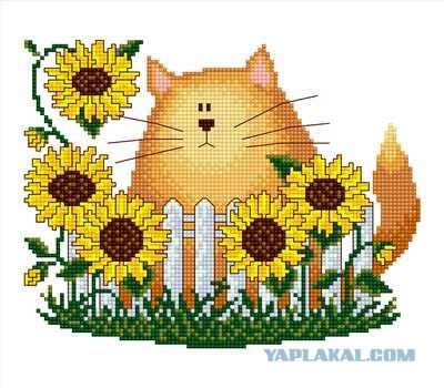 УРРААА ! Котовторник на ЯПлакалъ !