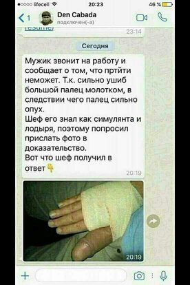 Комментарии от пользователей, которые заслуживают награду «Гении сарказма»