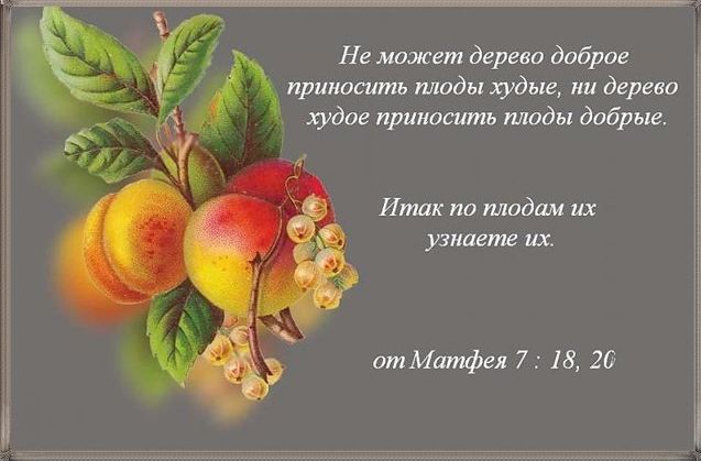 Путин предложил не торопиться с повышением пенсионного возраста