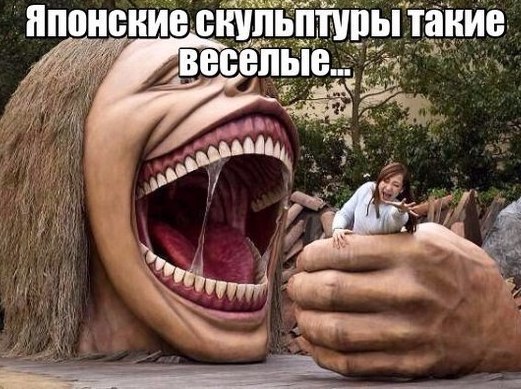 Сотка