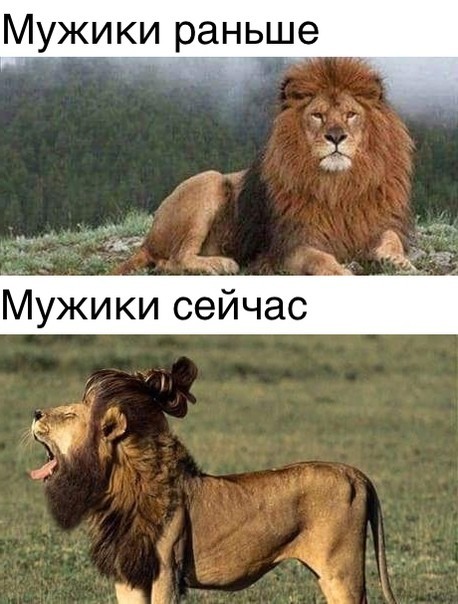 Специфический юмор