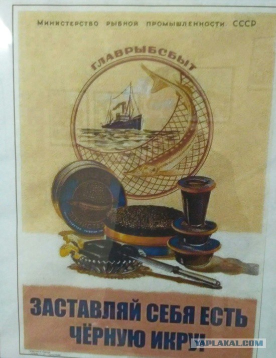 Глава Минздрава Украины рекомендовала жителям страны сократить потребление черной икры