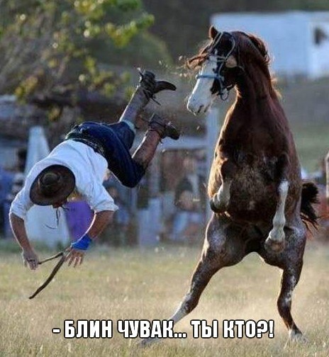 Нестандартный юмор