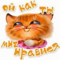 С Днём кошки!