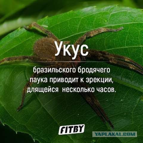 Немного картинок на вечер