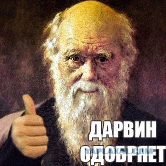 Слабоумие и... слабоумие