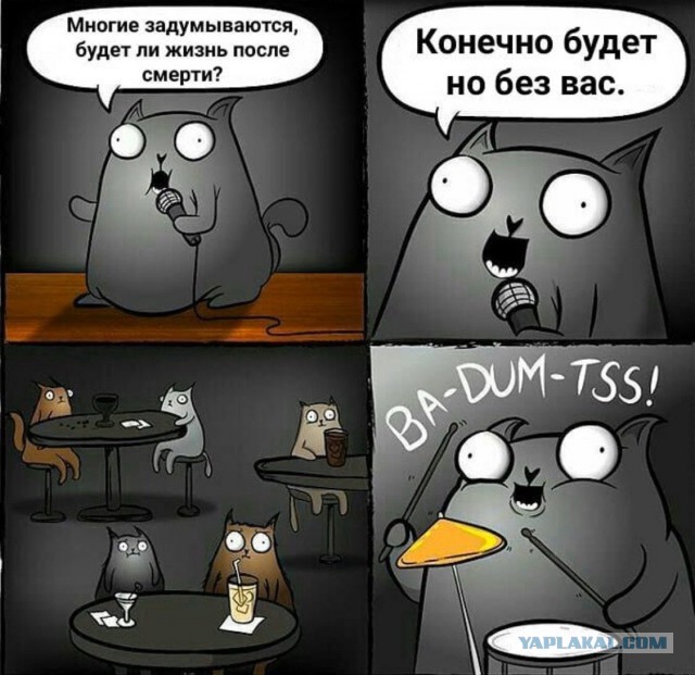 Ученые доказали существование жизни после смерти