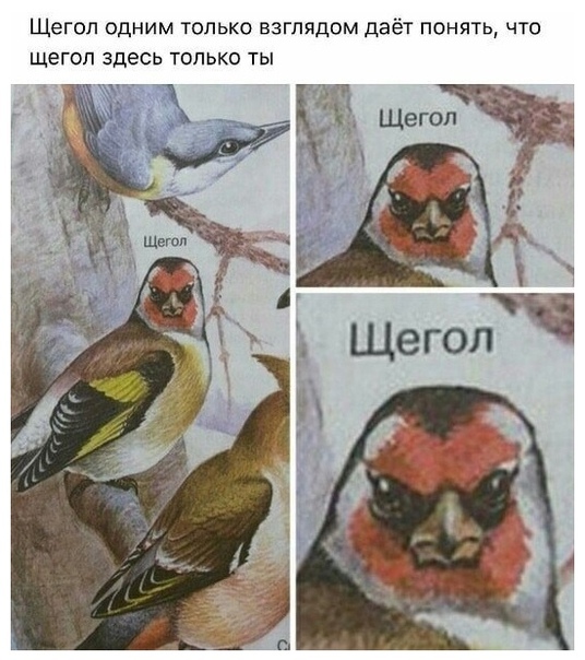 Немного картинок с надписями и без - 26