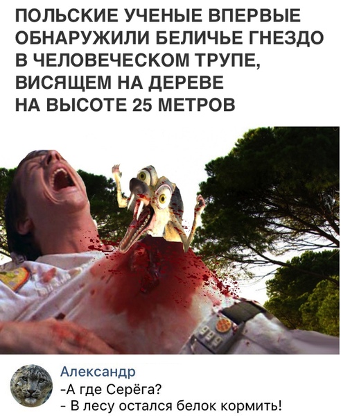 Подборка так себе картинок