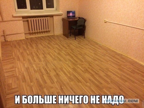Чуток картинок 02.04.20