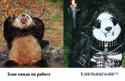 На работе и дома.